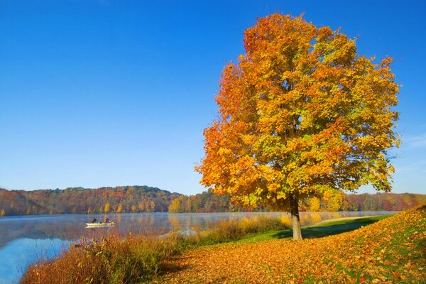 Descuido del otoño en la orilla del lago