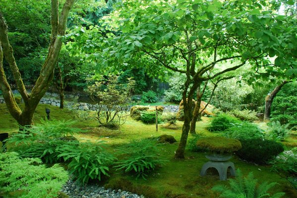 Photo du jardin canadien