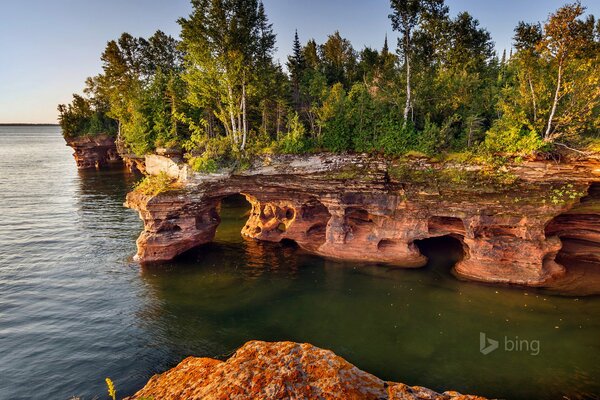 Nature on the rocks above the sea