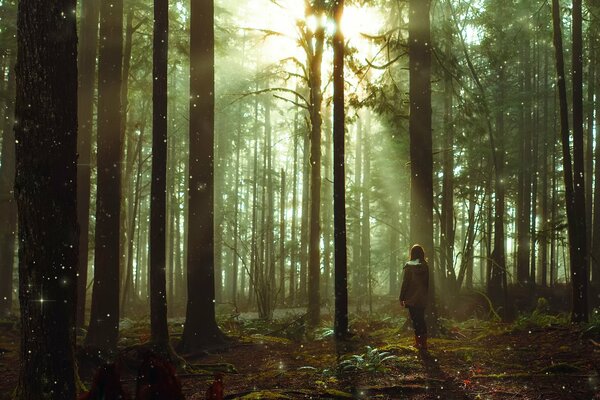 Fille marchant dans la forêt de conte de fées