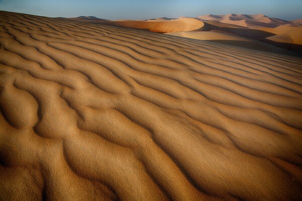 Barkhans dans le désert de sable