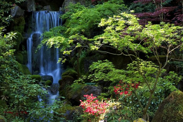 Cascata su uno sfondo di fogliame verde e fiori