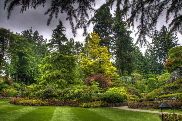 Dense forêt de conifères et parterres de fleurs dans le parc