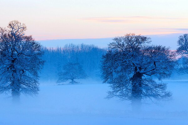 Panorama de la naturaleza Nevada del invierno