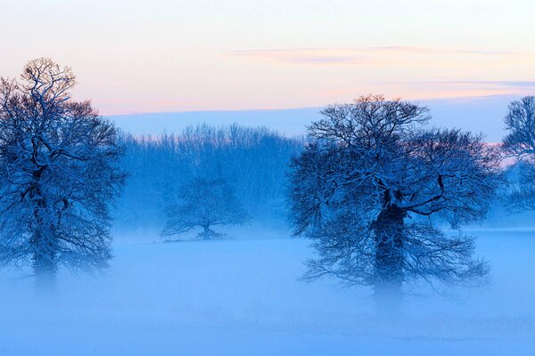Panorama della natura invernale innevata