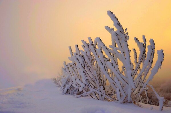 Paesaggi invernali di incredibile bellezza