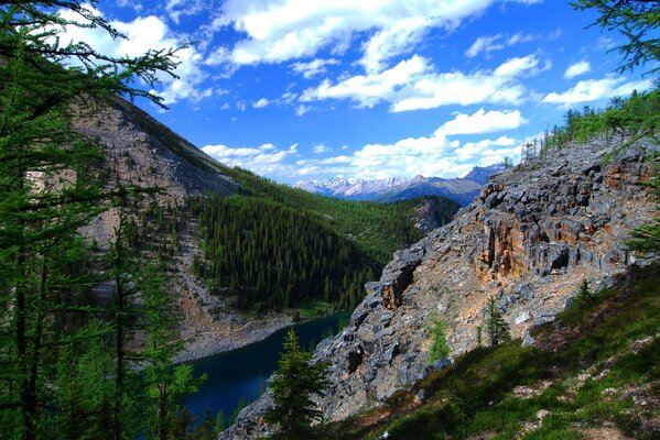 Bergsee im kanadischen Alberta