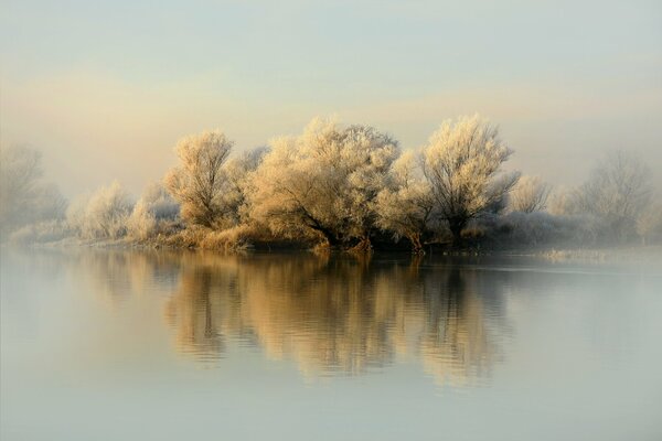 Trees on the Internet are reflected in the river