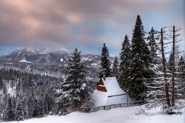 Snow-covered house in the mountains and spruce forest