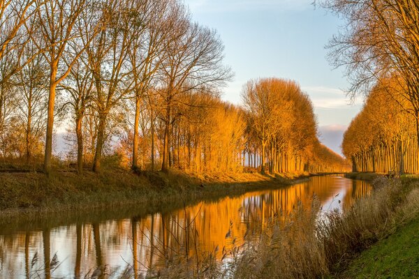 Riflessione di alberi e cielo nelle acque del canale