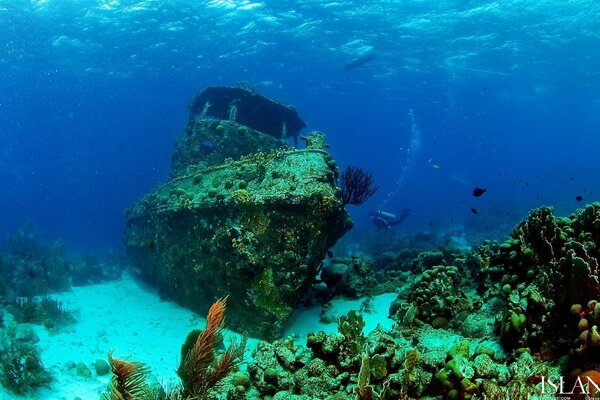 A sunken ship at the bottom of the sea