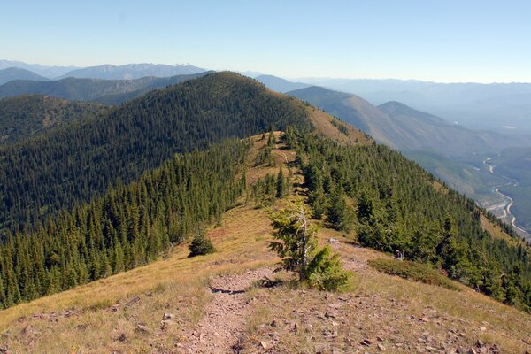 Beautiful landscape on the background of mountains