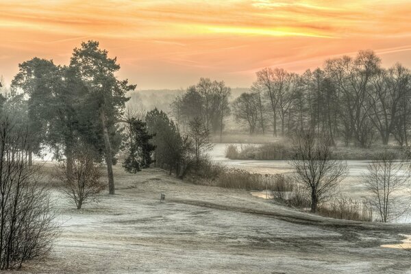 Sunny frosty morning in nature