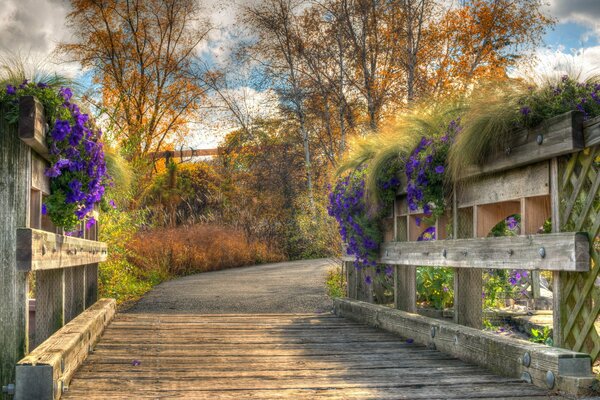 Florecen las flores caminamos vamos