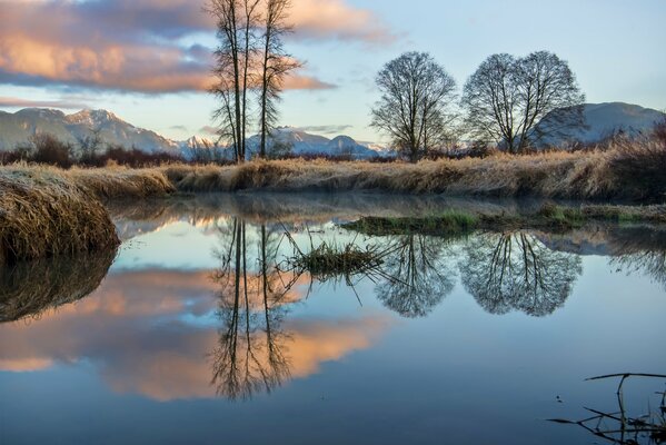 Trees in frost among the mountains of British Columbia