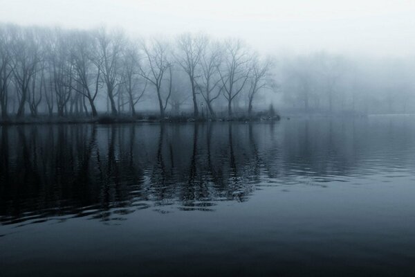 Eine Insel mit nackten Bäumen im Nebel am Fluss