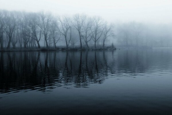 Isolotto con alberi spogli nella nebbia sul fiume