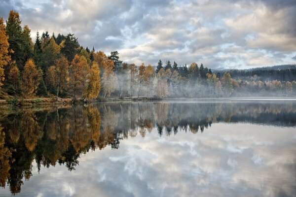 Morgendlicher Dunst in einem im Wasser reflektierenden Wald