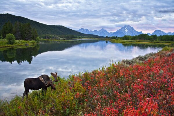 The tranquility and greatness of nature in beauty