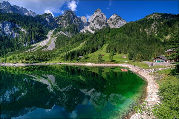 Bellissimo paesaggio forestale con lago sullo sfondo delle montagne
