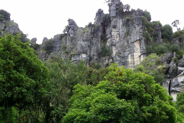 Montagna, foresta contro il cielo