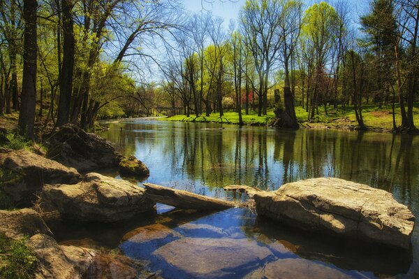 Wiosenna rzeka otoczona kamieniami i trawą