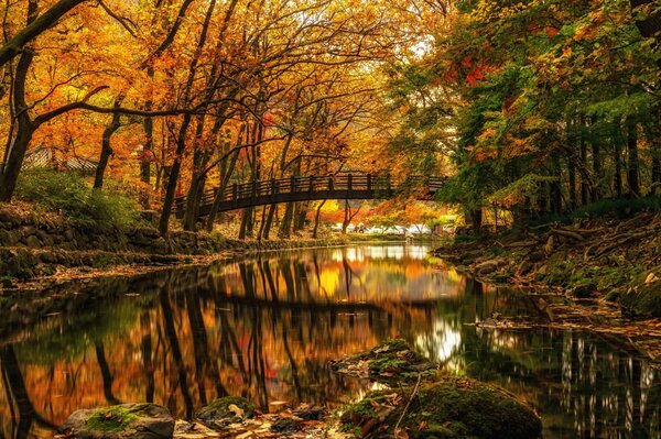 Herbstpark. Schöne Brücke über den Fluss