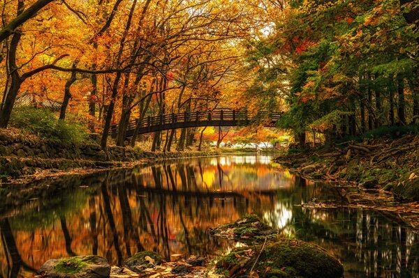 Осенний парк. Красивый мост через реку