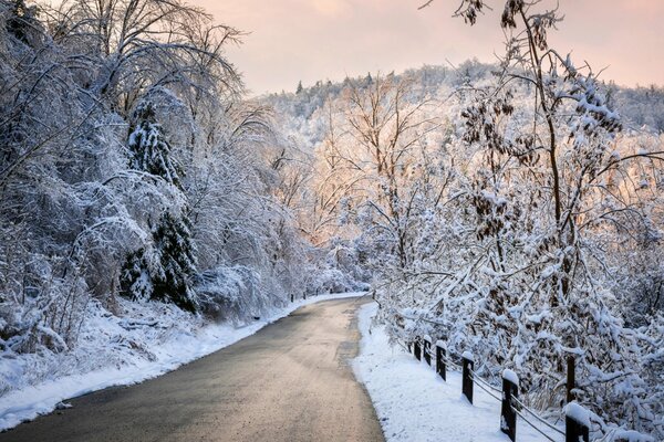 Зимний пейзаж с заснеженной дорогой