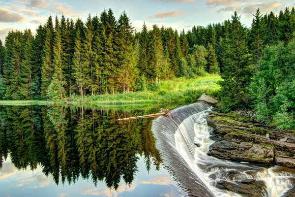 Капенный водопад в лесу. Летние пейзажи