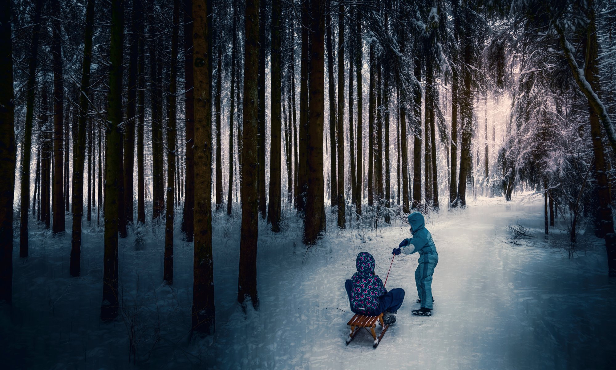 winter forest children sled processing