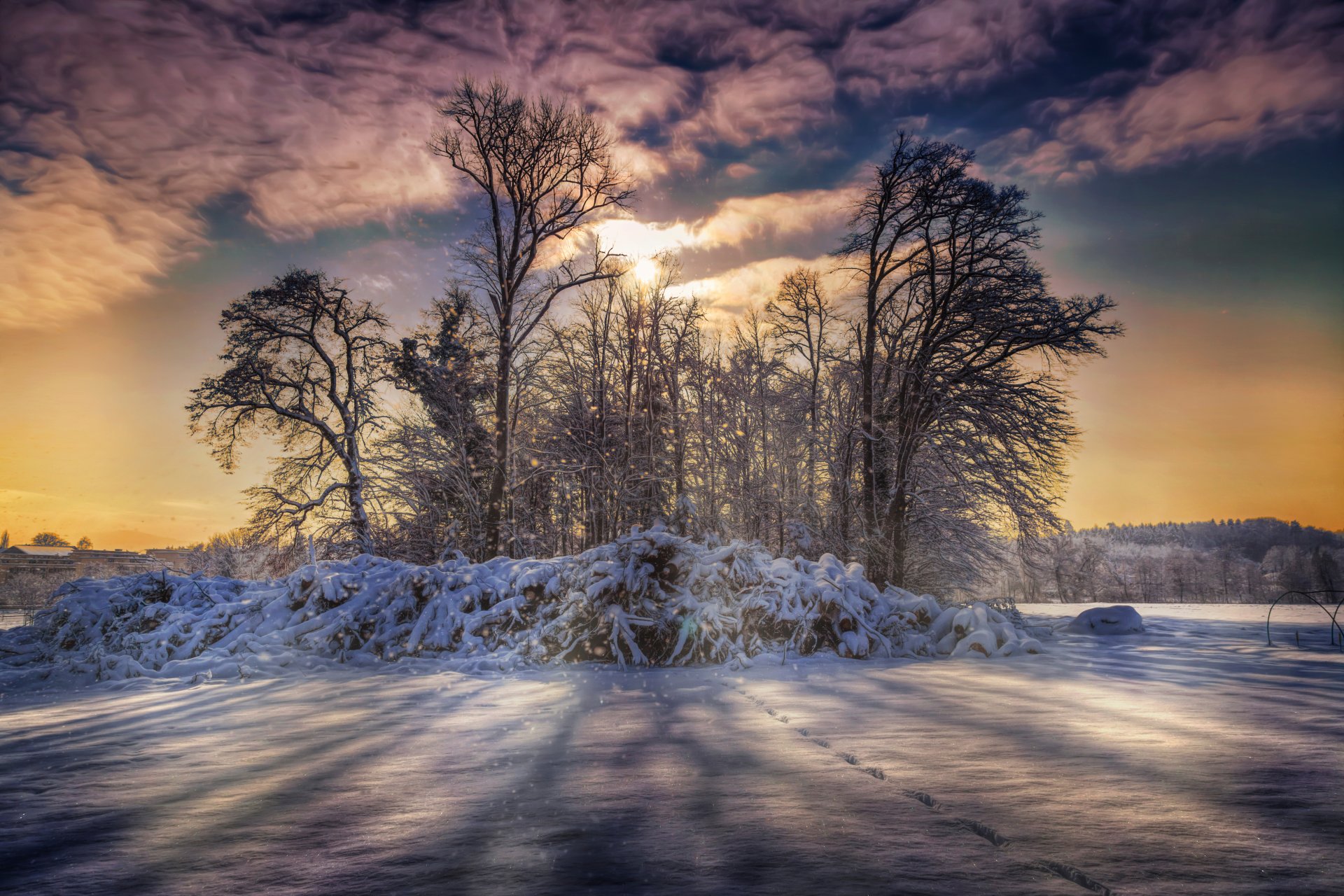 hiver neige arbres nuages.traitement