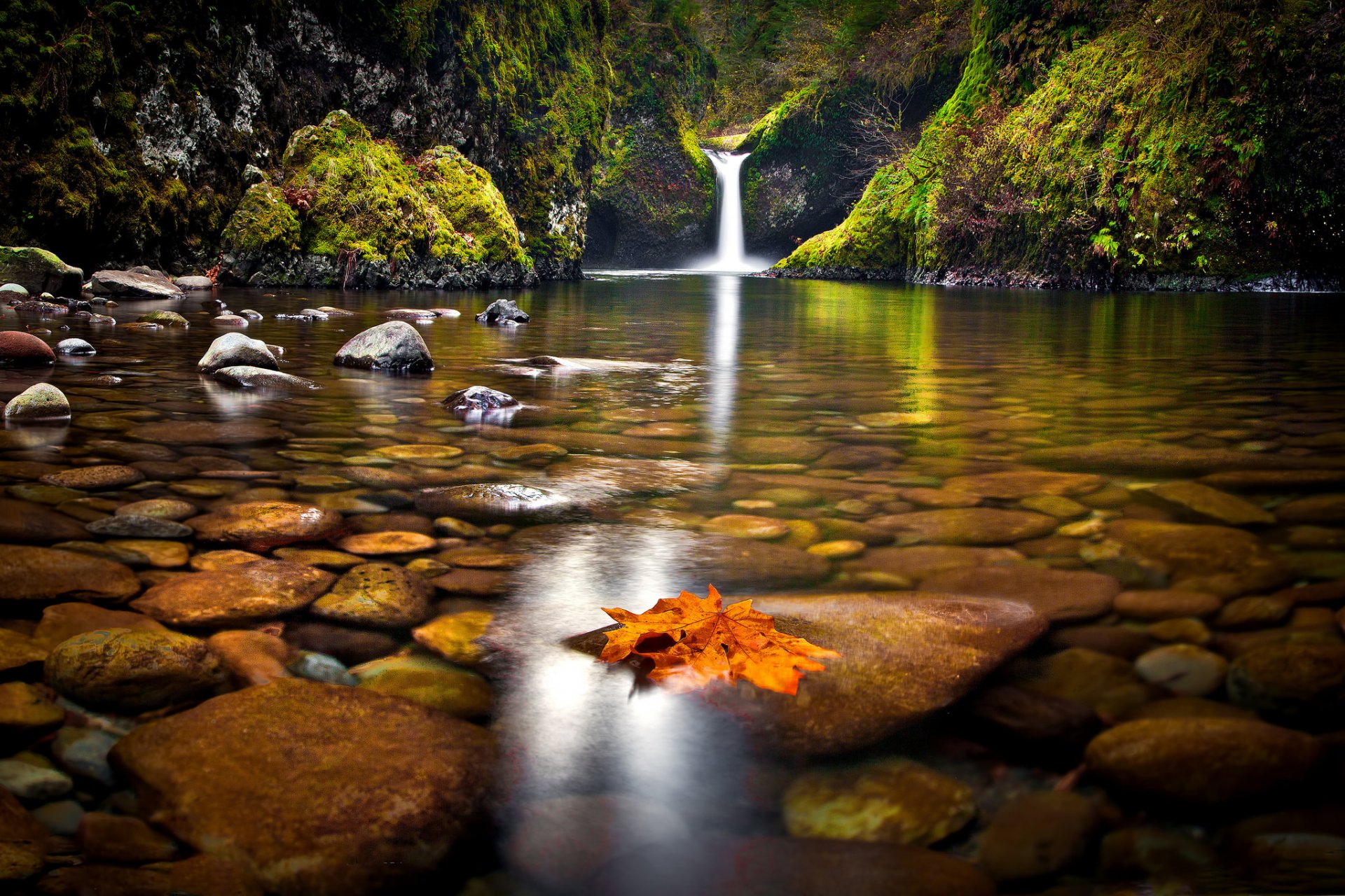 bosque árboles cascada lago piedras hoja otoño