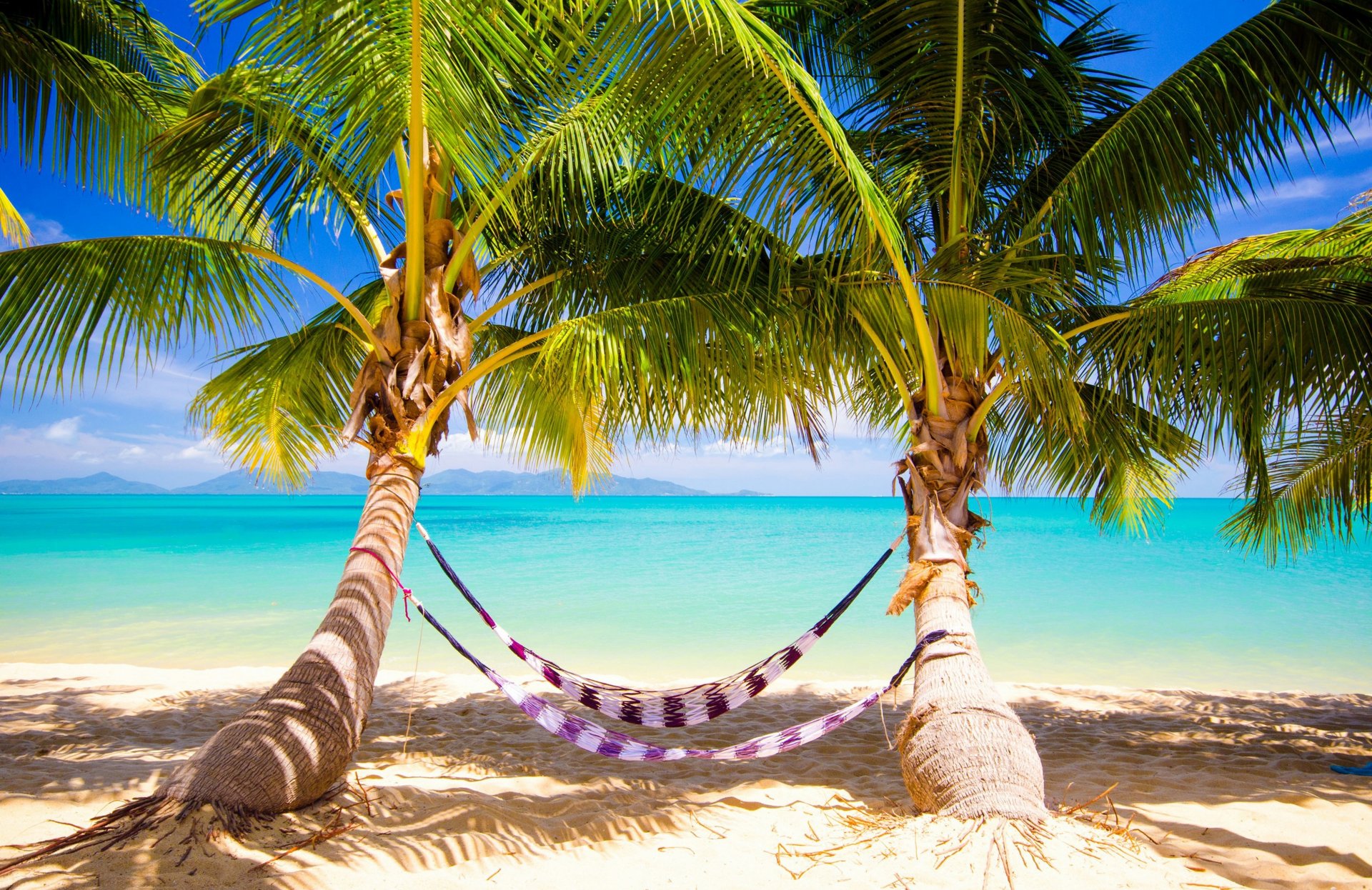 tropical paradise beach palms sea ocean sunshine summer vacation hammock palm tropics sand