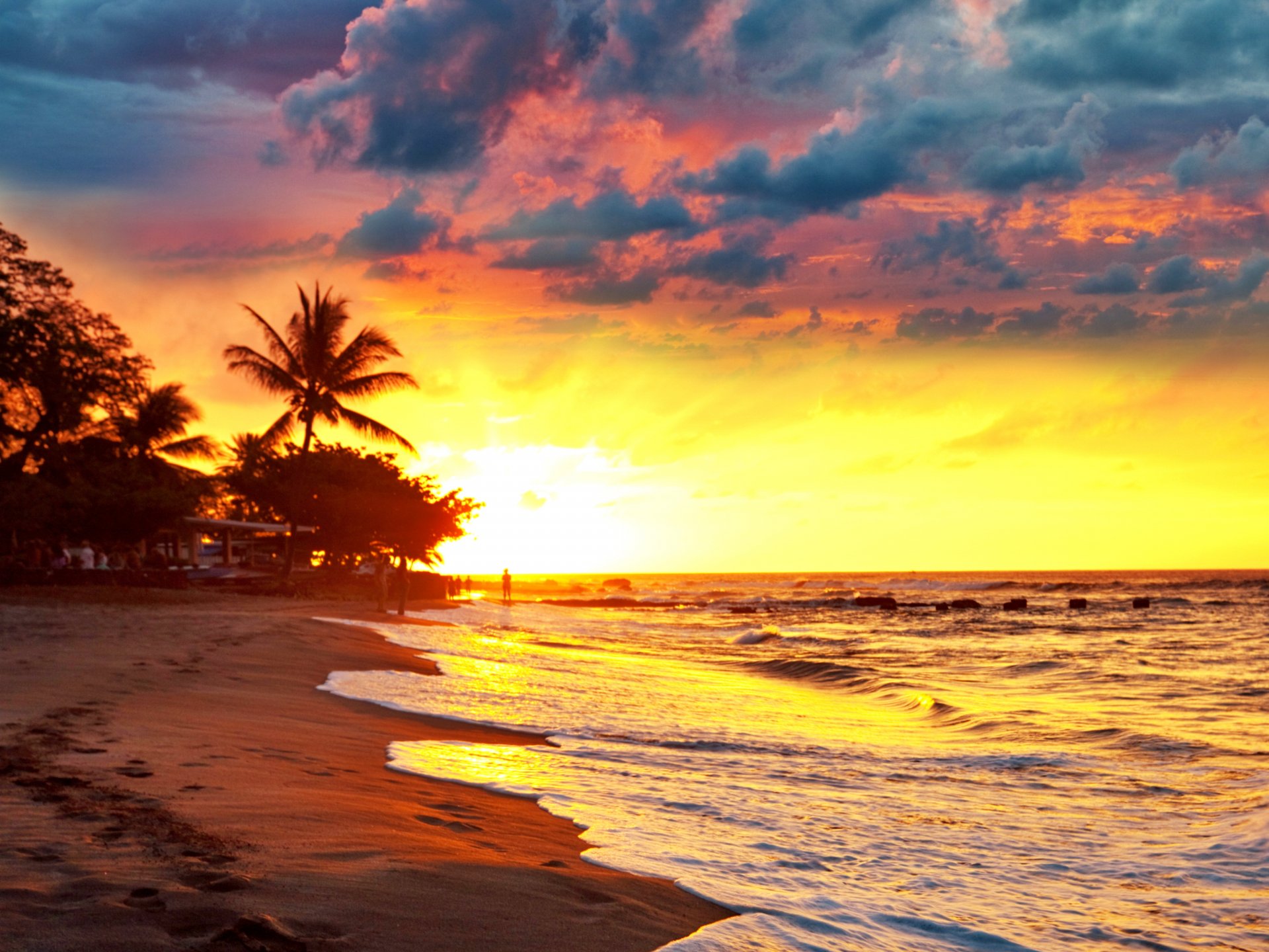 tropisch paradies strand palmen meer sonnenuntergang tropen sand ufer