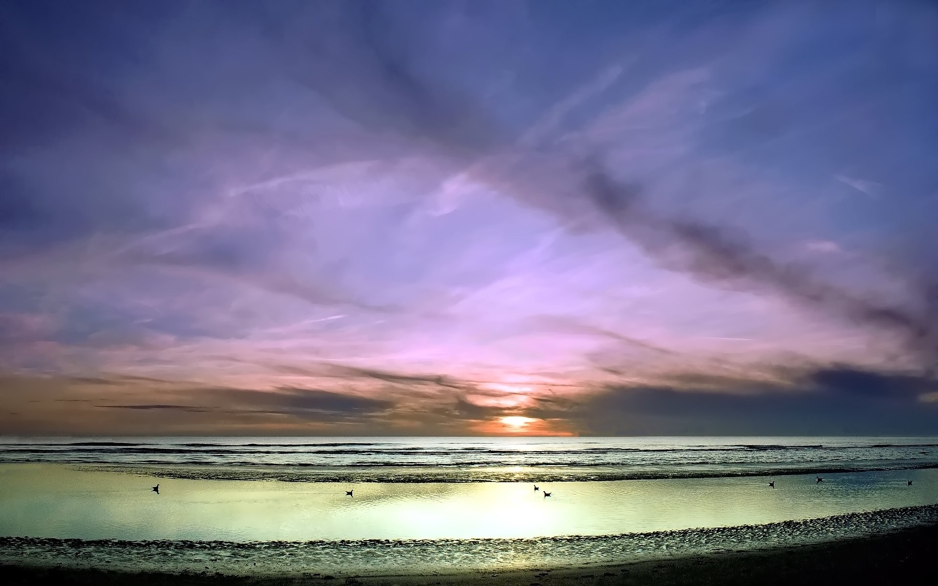 tramonto mare cielo riva onde uccelli