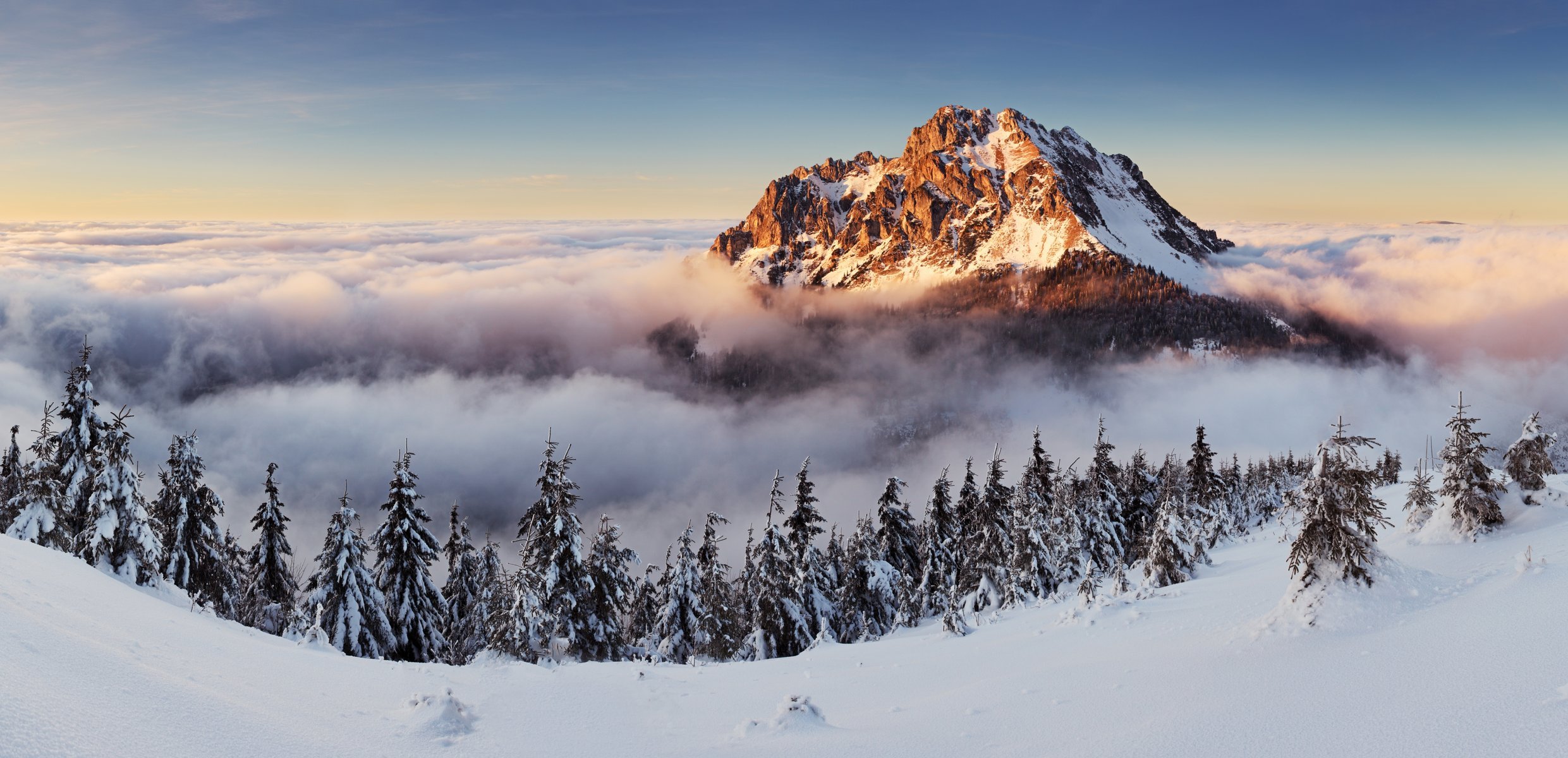 hiver paysage neige hiver montagnes brouillard