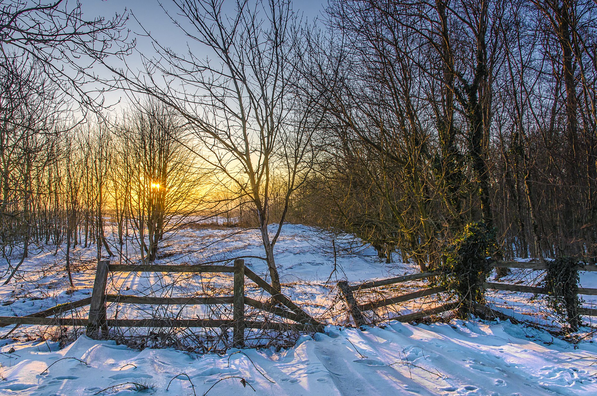 inverno neve alberi recinzione sole tramonto