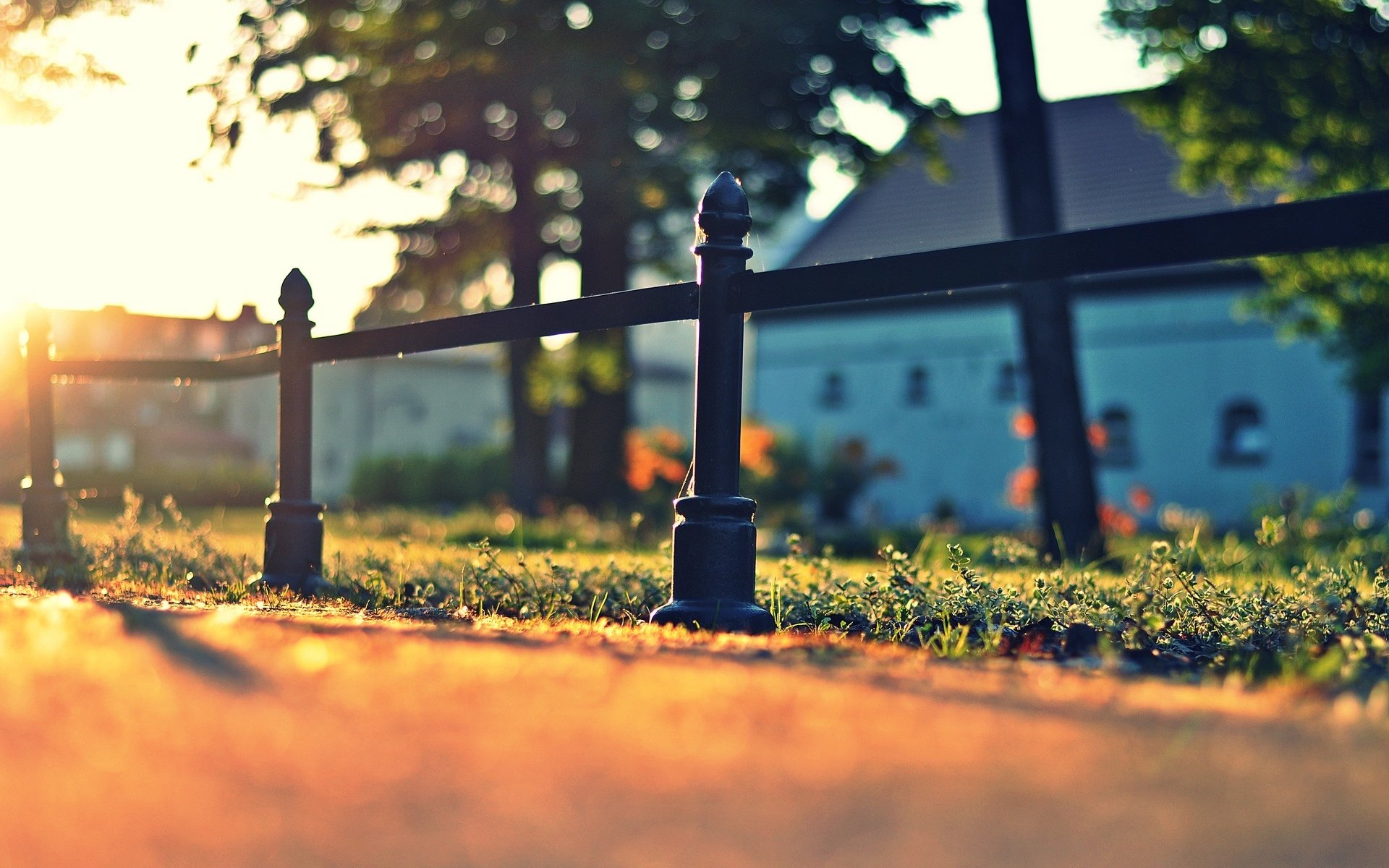 nature macro fence fence fencing asphalt sun greenery grass meadow background wallpaper widescreen fullscreen widescreen widescreen