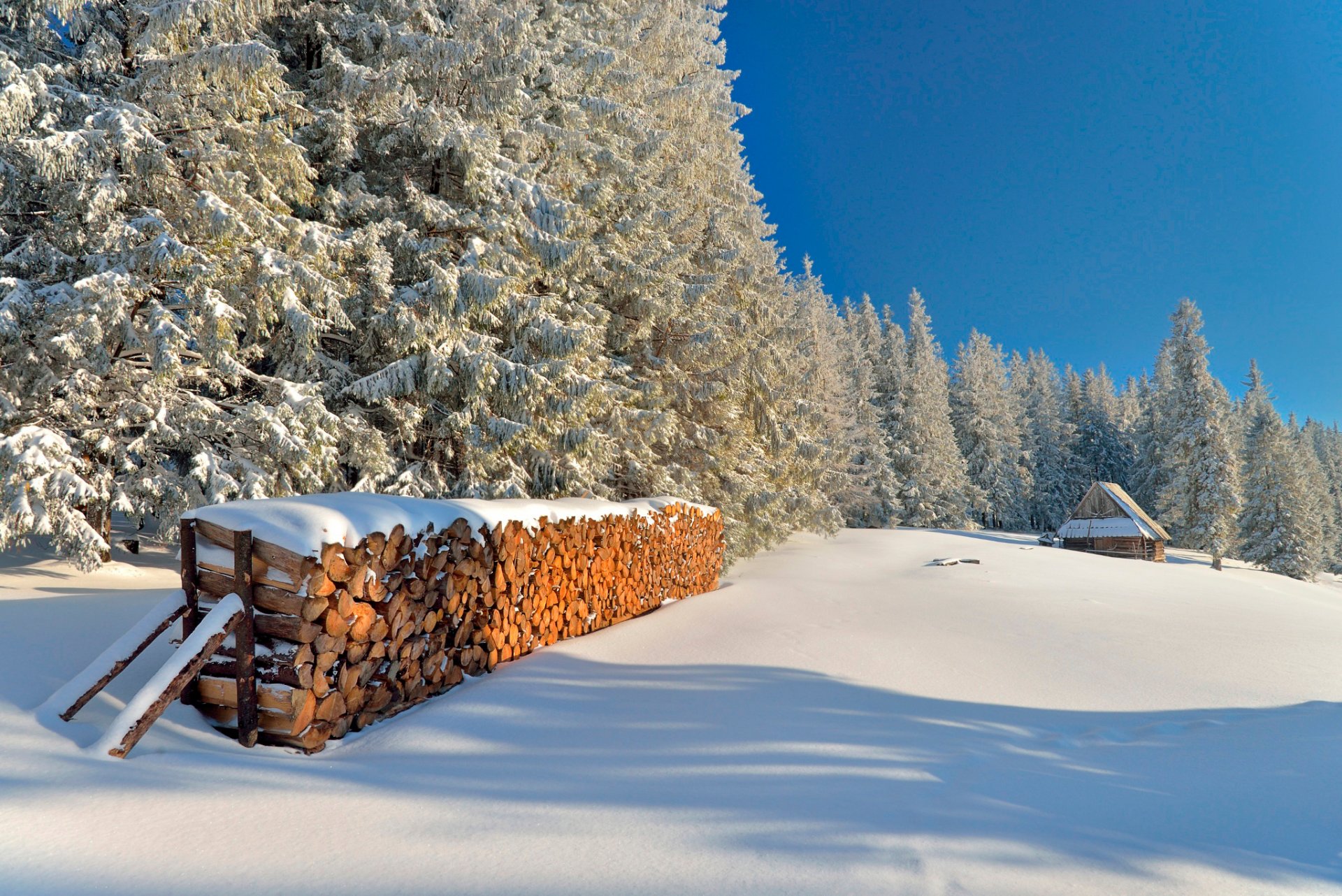 tatras stack of wood snow winter sun day