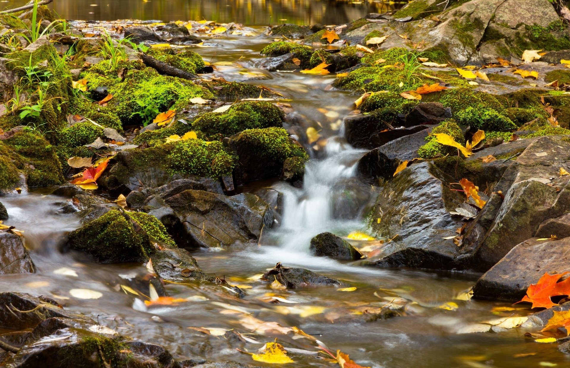 freundlichkeit creek leicester park duluth minnesota bach fluss steine blätter herbst