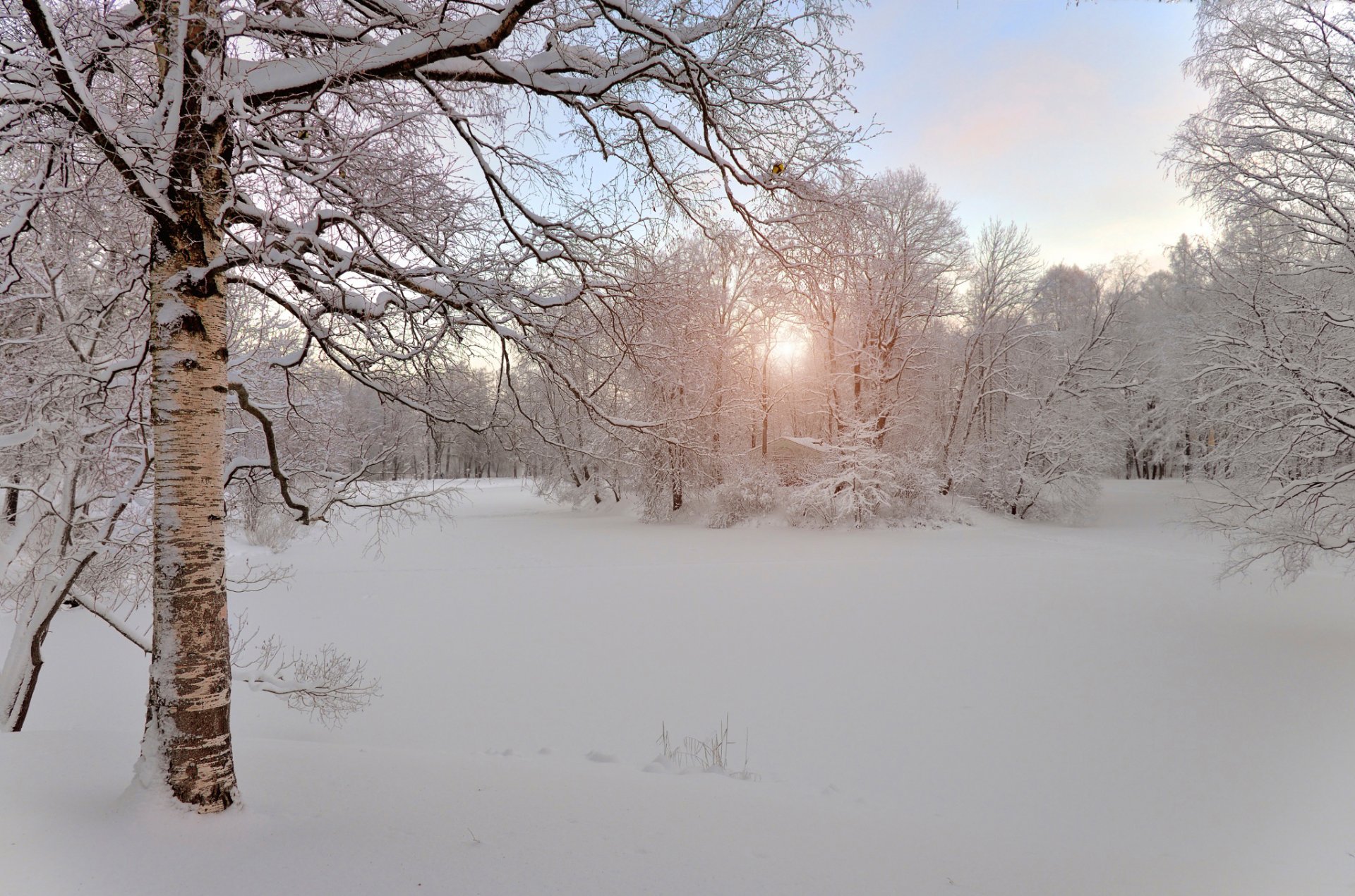 hiver neige matin russie pouchkine