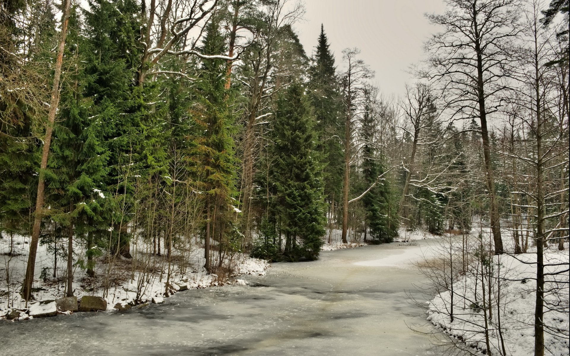 invierno bosque río