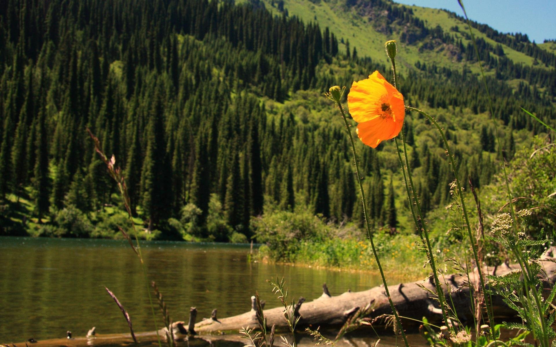 lago kolsai alma ata kazakistan