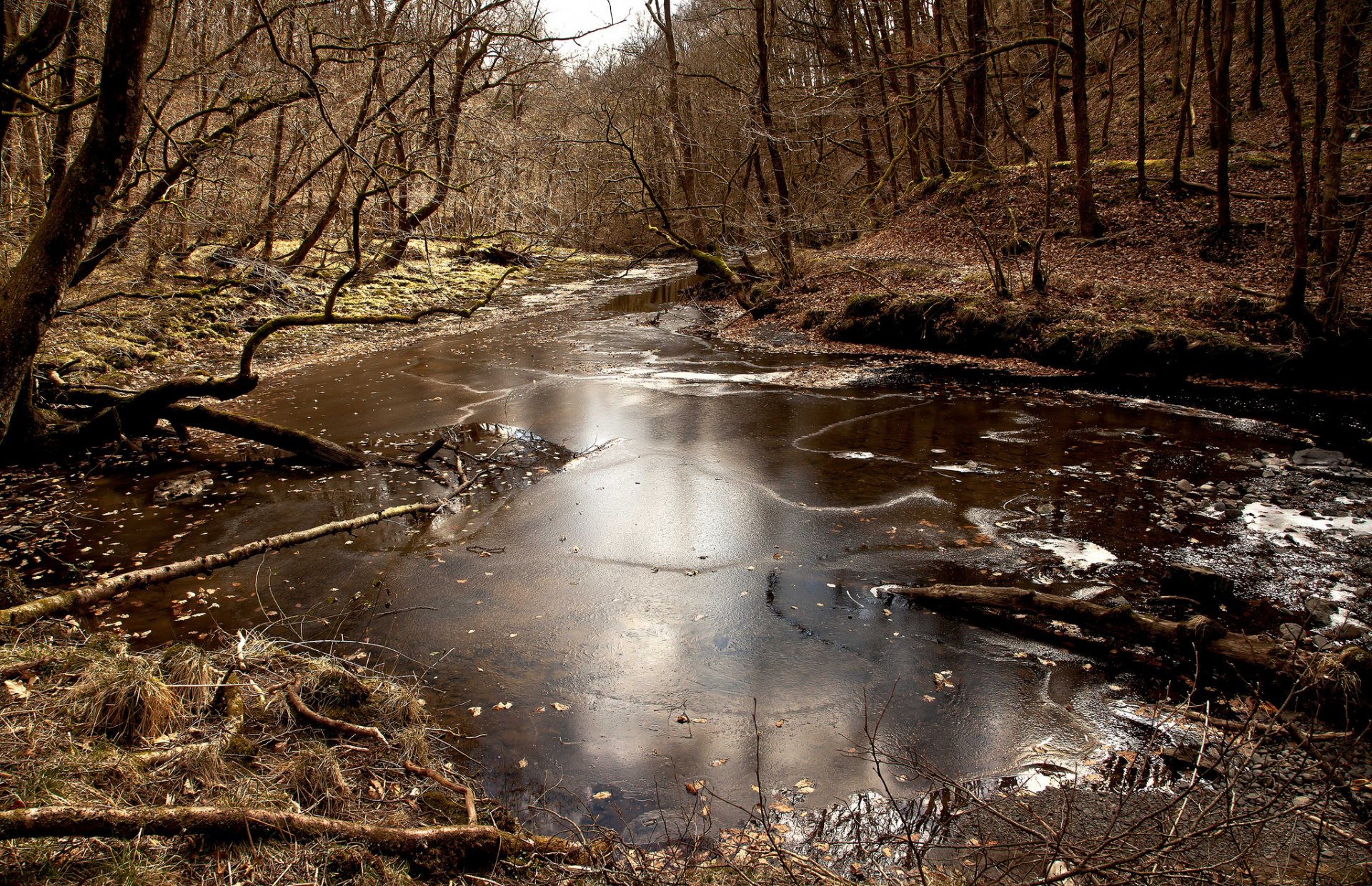 forest river next autumn late