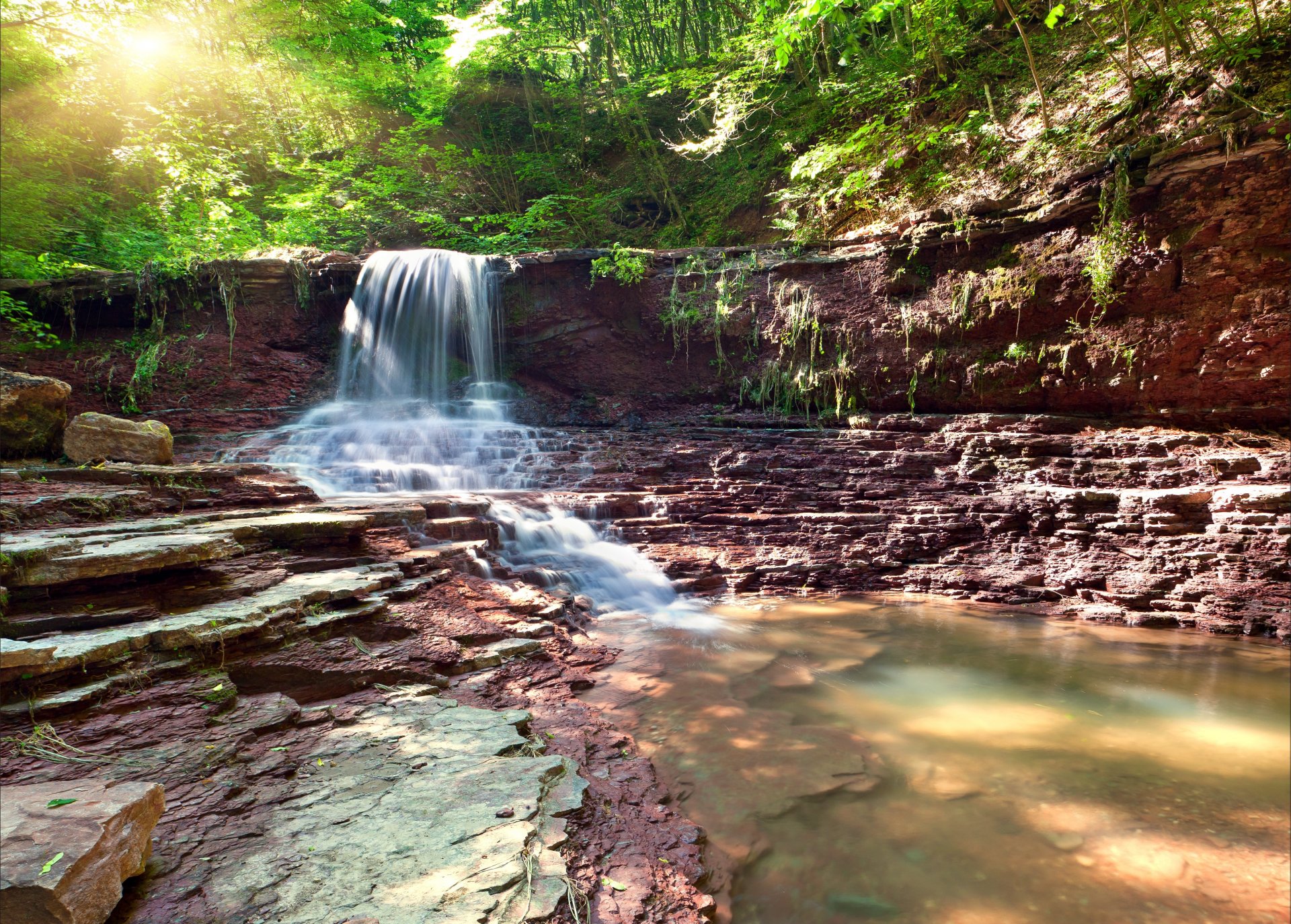 cascata pietre alberi foresta