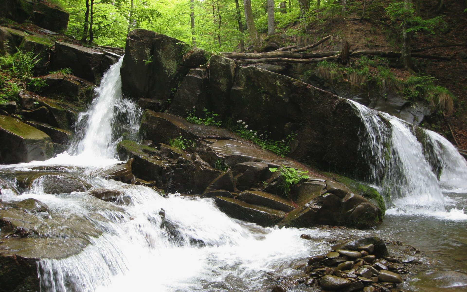 ukraine zakarpattia waterfall nightingale