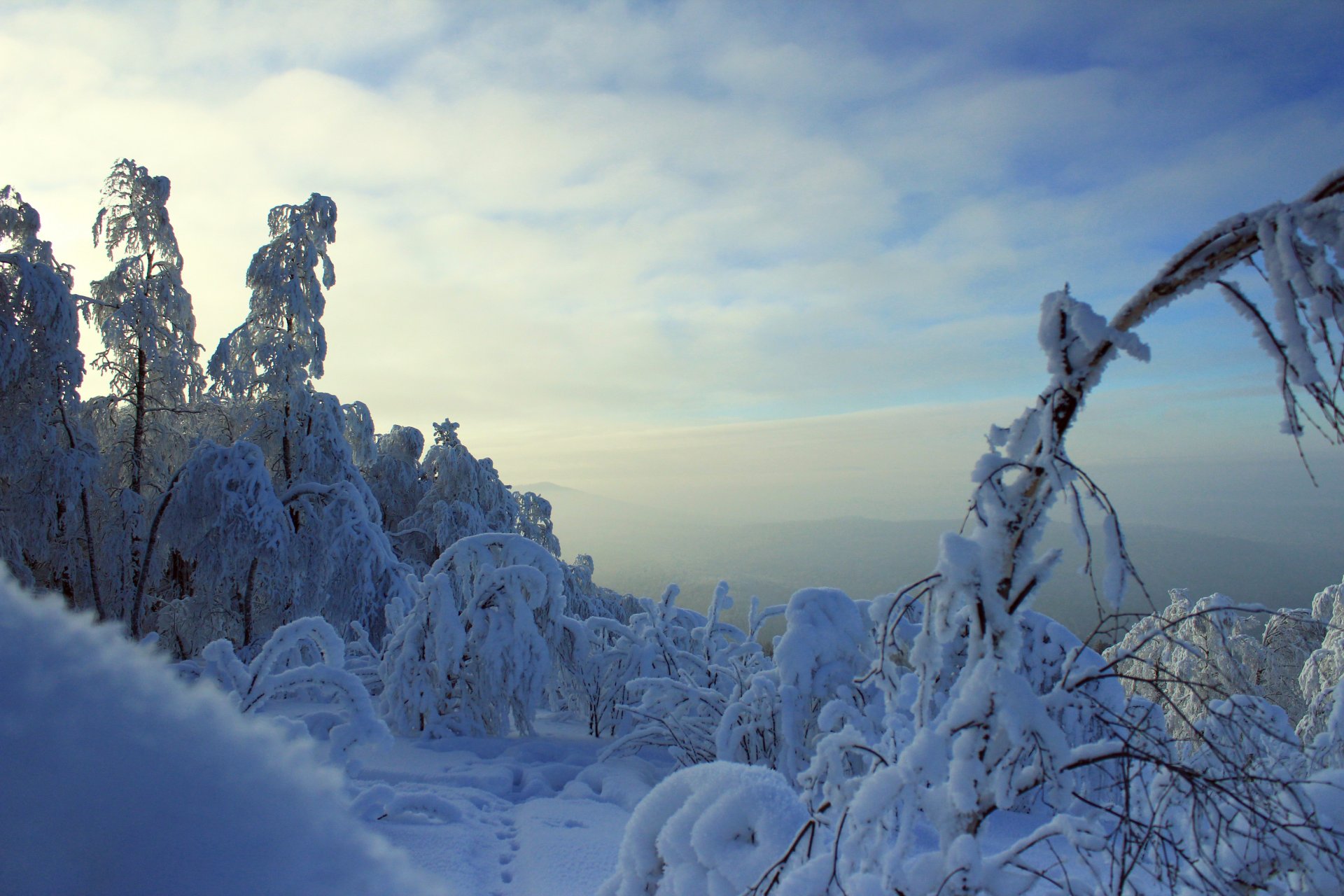 bosque invierno ramas en la nieve heladas montañas