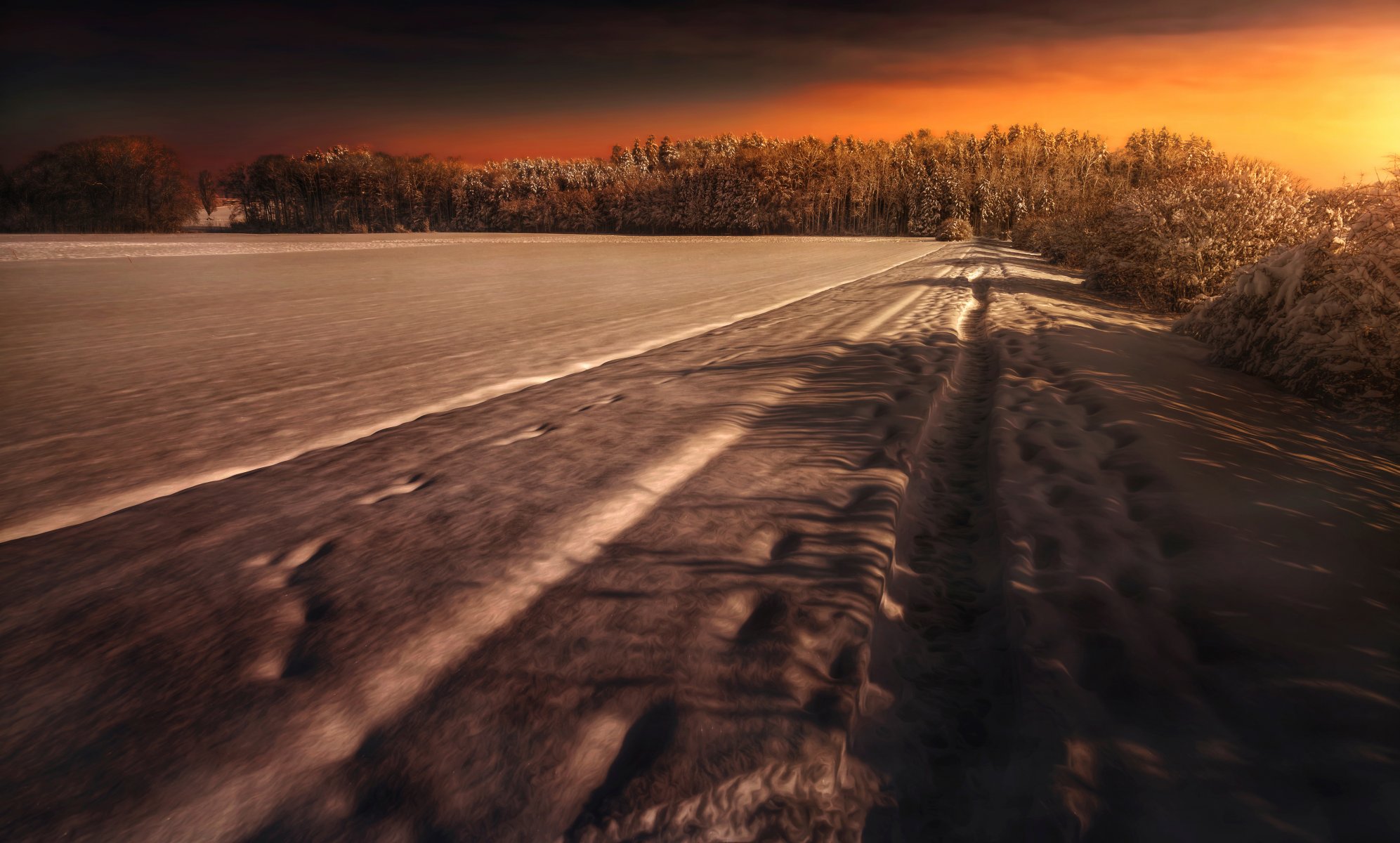 passeggiata invernale inverno neve foresta trattamento