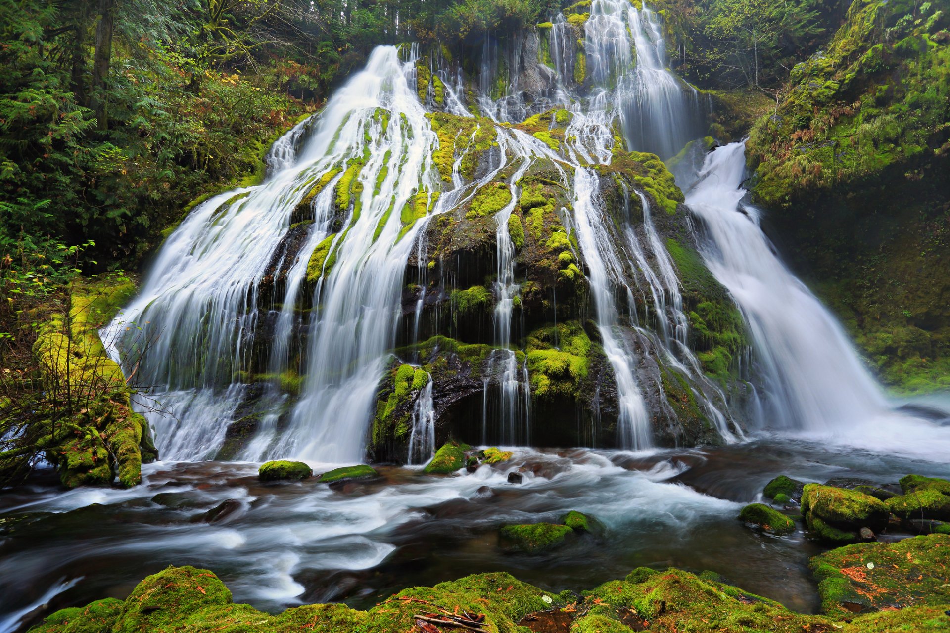 pantera creek falls columbia river gorge oregon rocas musgo